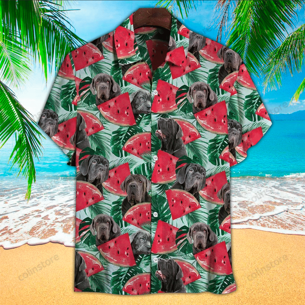 Watermelon Aloha Perfect Hawaii Shirt For Ha51602