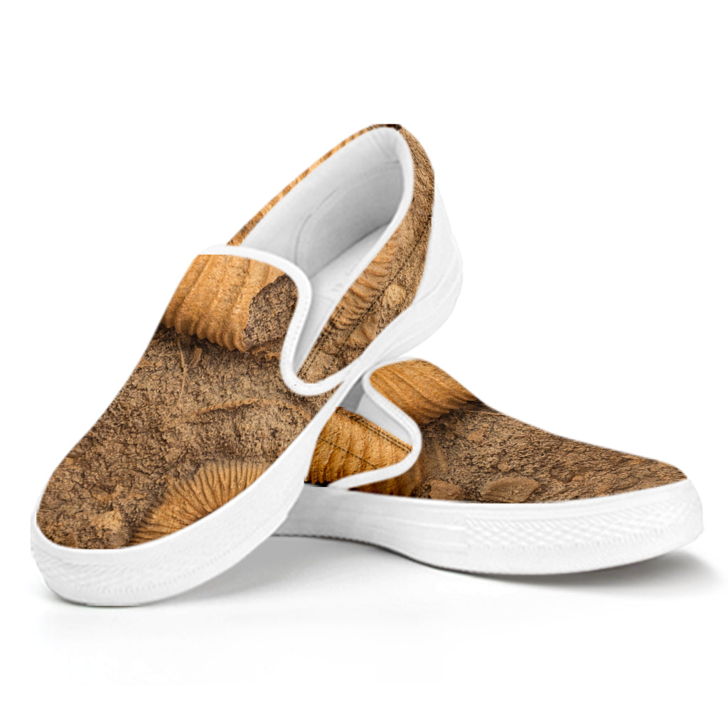 Ammonite Shell Fossil Print White Slip On Shoes