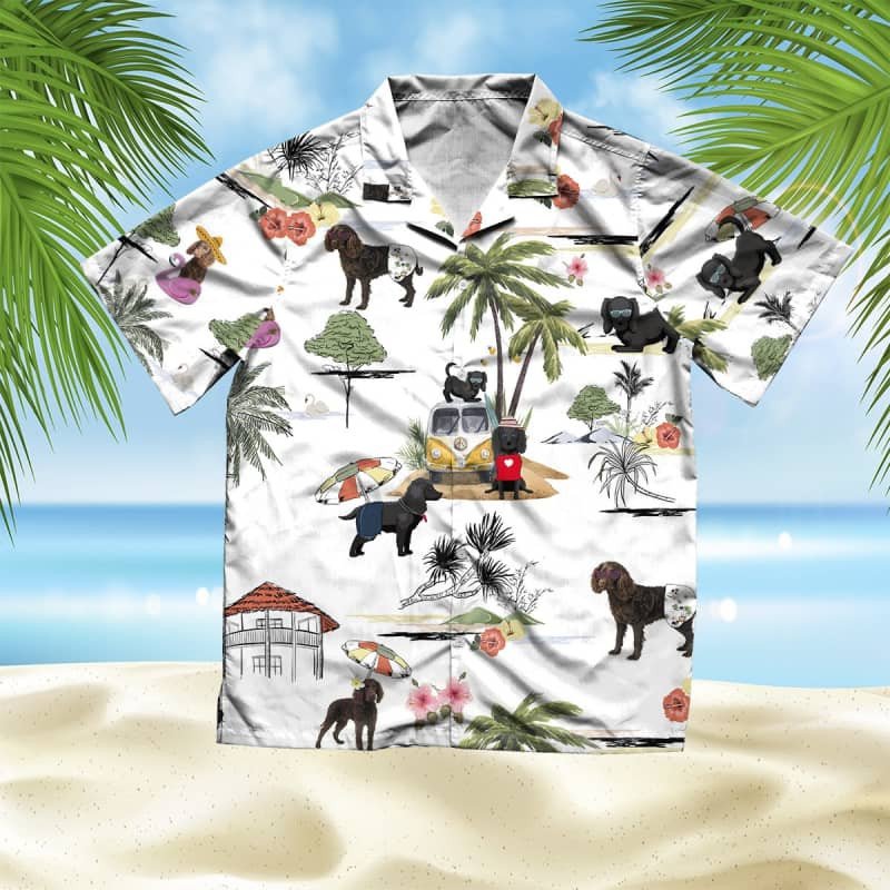 Felacia Unisex American Water Spaniel Beach Hawaii Shirt Ha59811