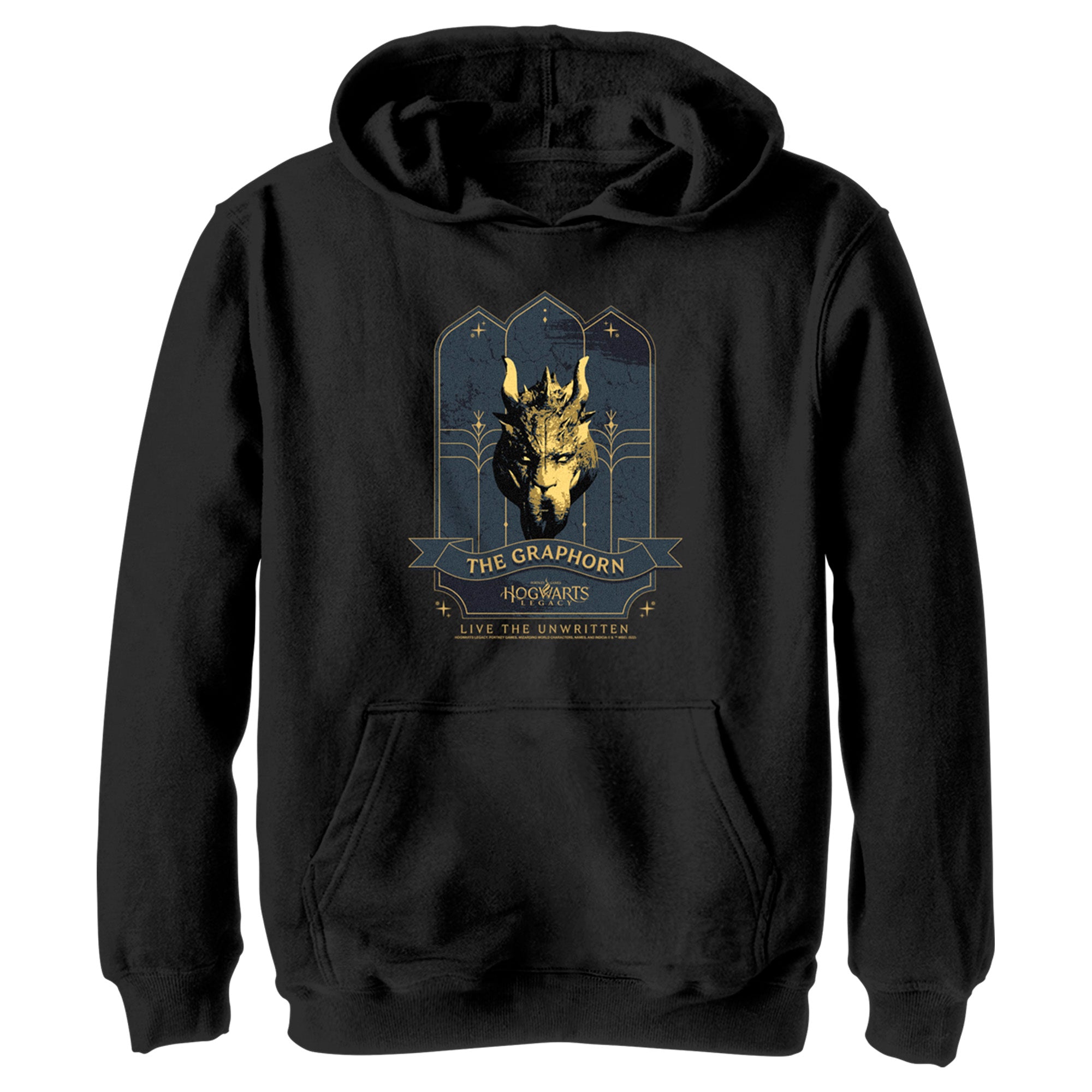 Boy’S Hogwarts Legacy The Graphorn Logo Pull Over Hoodie