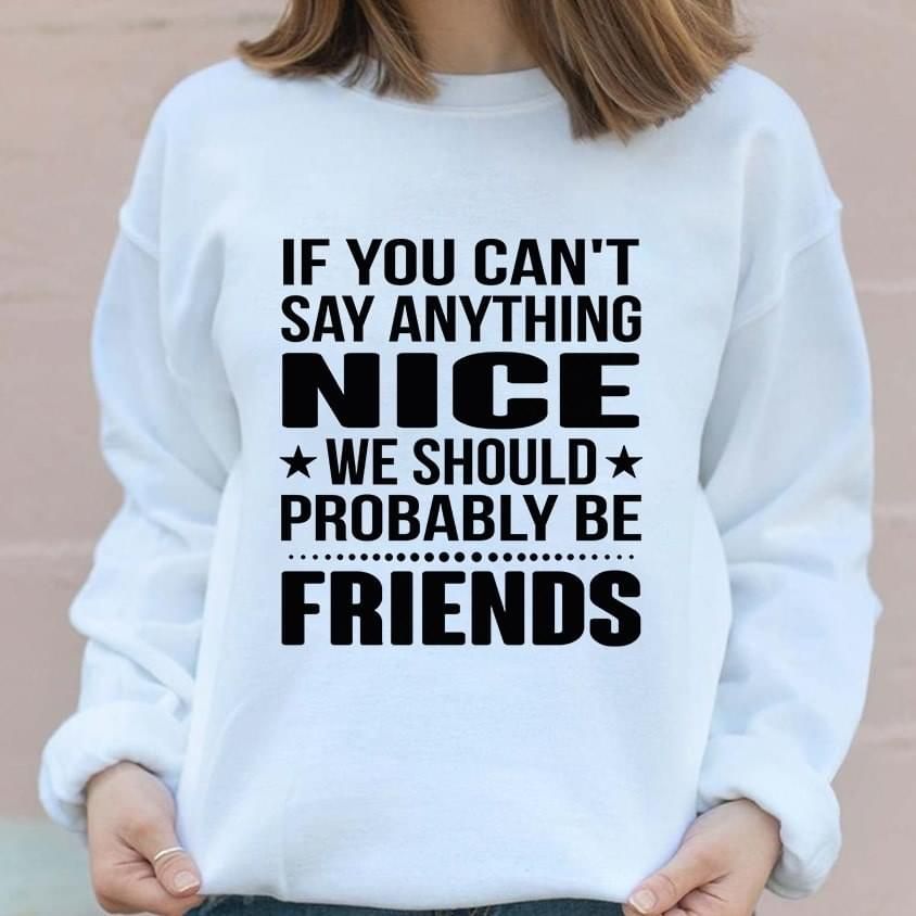 If you can't say anything nice we should probably be friends sweater Tshirt Hoodie Sweater