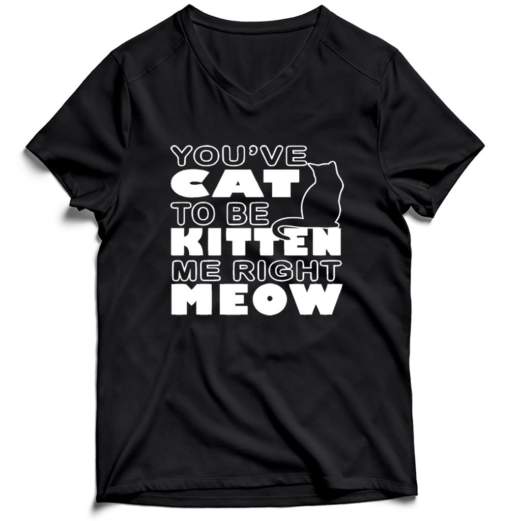 Are You Kitten Me Right Meow Men’s V-Neck Tee T-Shirt