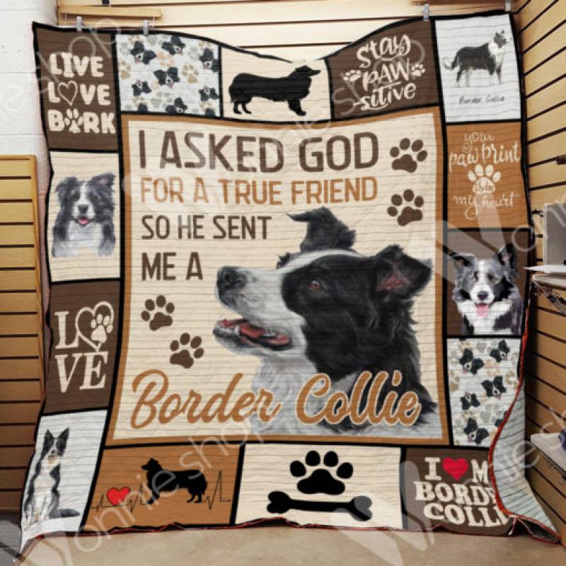 Border Collie Dog Blanket NOV2902 79O31