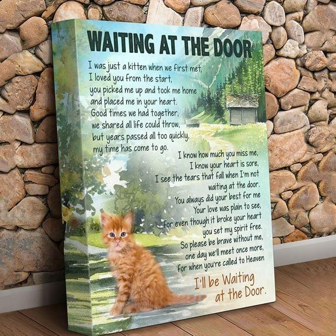 Yellow Cat Waiting At The Door Cats Lovers Home Decoration Canvas And Poster | Wall Decor Visual Art