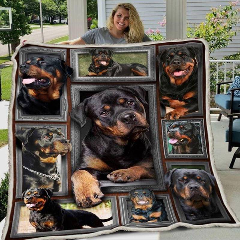 A BC-BLANKET – DOGS – 3D