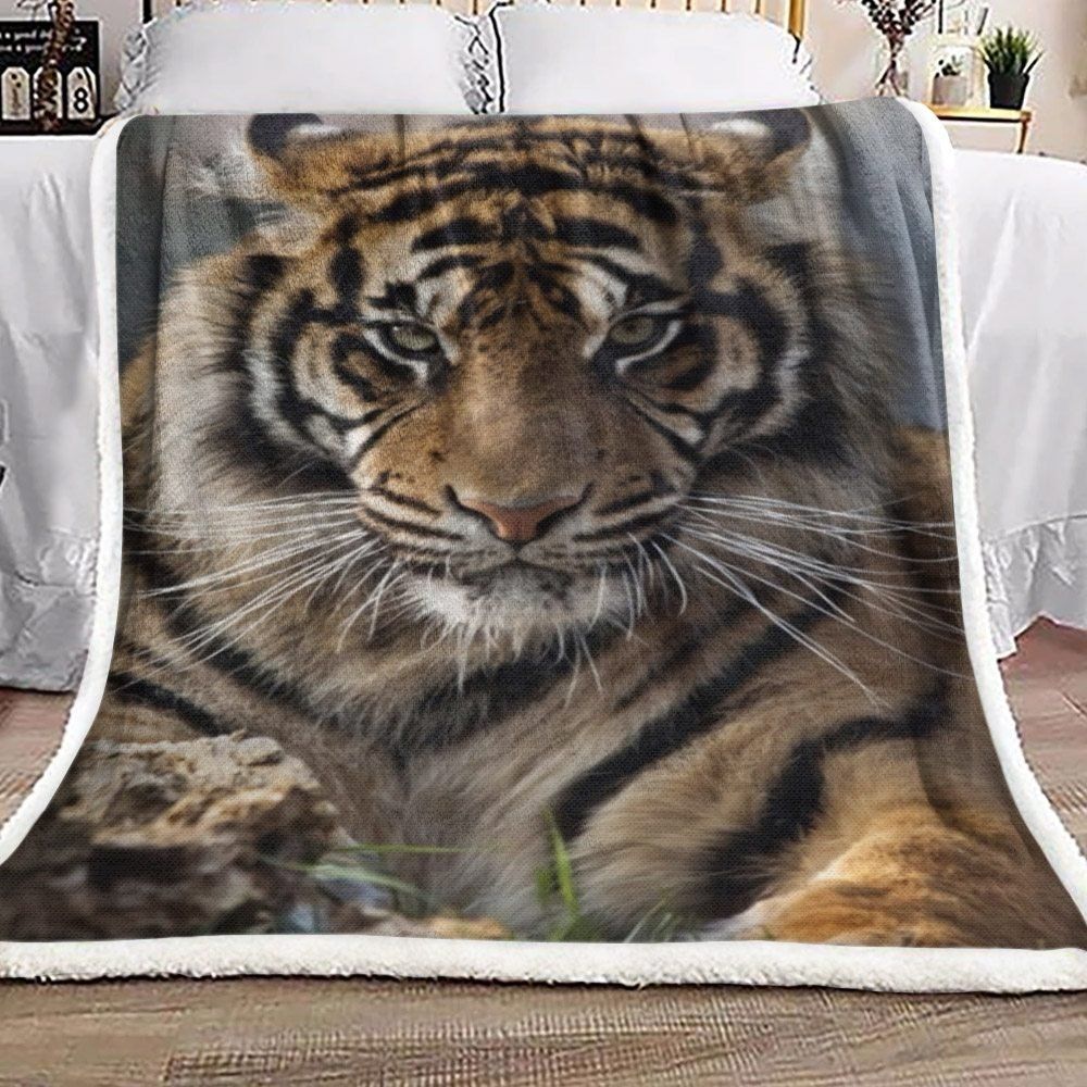 Tiger Vd2309160F Sherpa Fleece Blanket