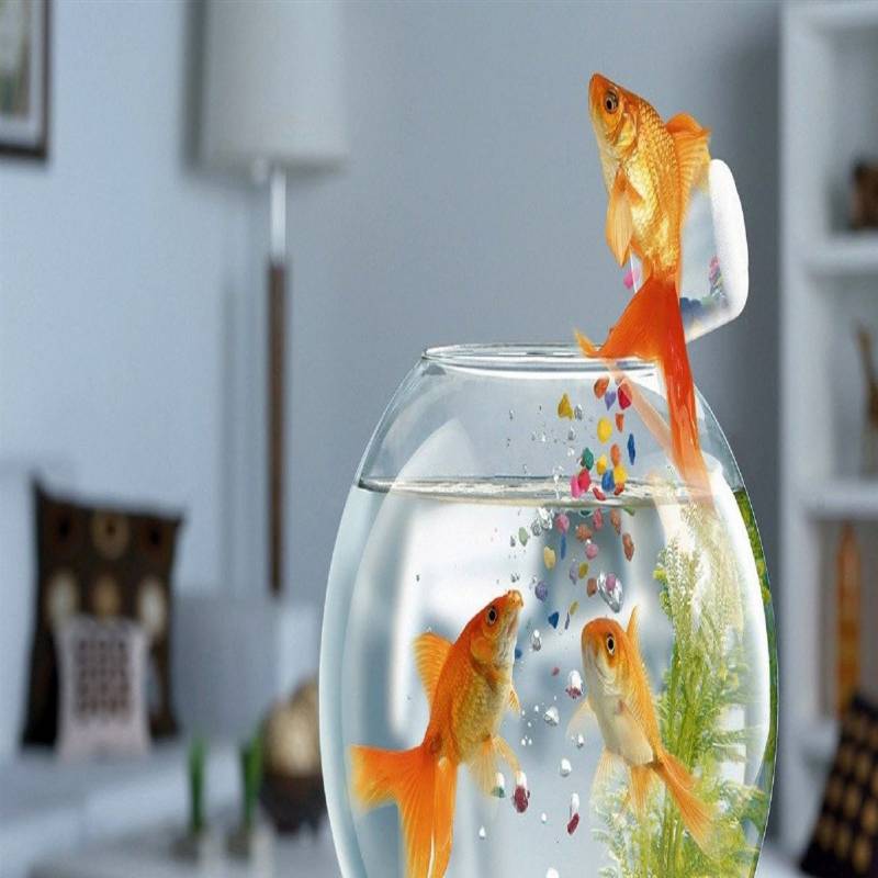 Jigsaw puzzle-jumping fish in fish tank, 1000 pieces of puzzle ...