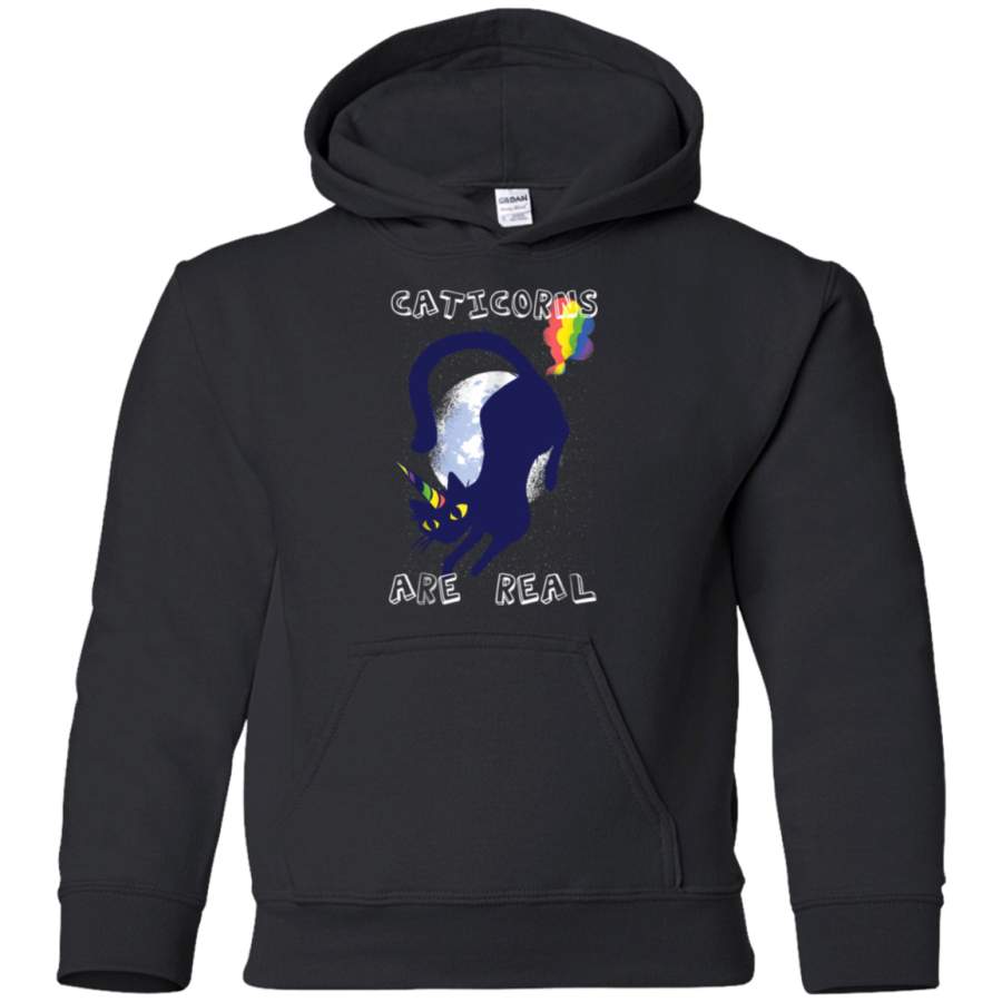 AGR Cat Graphic Caticorns Are Real Shirt youth hoodie