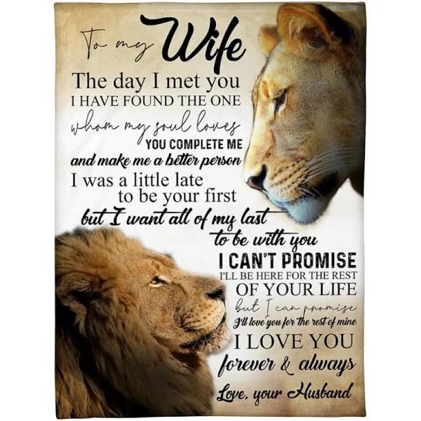 To My Wife The Day I Met You Lion Couple Fleece Blanket Gift For Wife From Husband Home Decor Bedding Couch Sofa Soft And Comfy Cozy