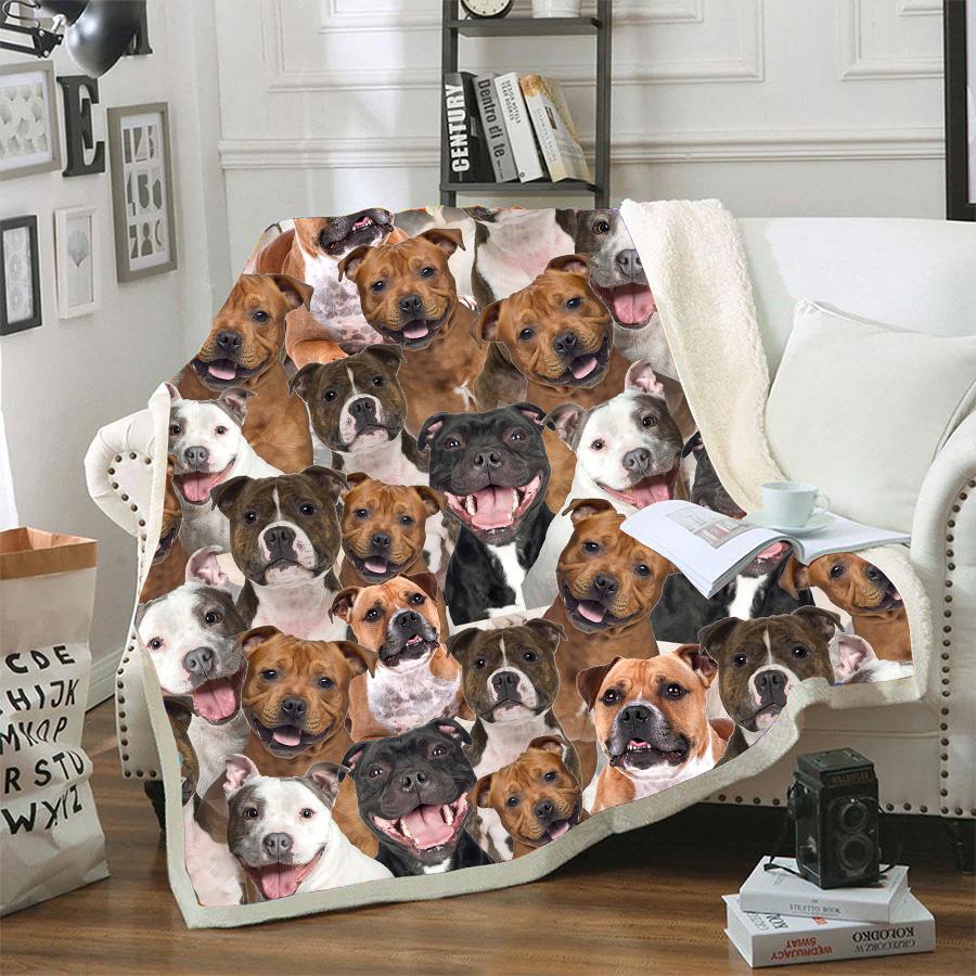 Staffordshire Bull Terrier A Bunch Of Dogs Blanket Design Dog Face Printed Blanket