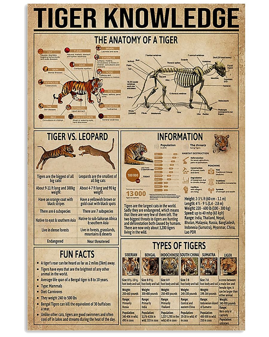 Tiger Knowledge Poster Print, Canvas Print Wall Art, Canvas Poster Wall Decor