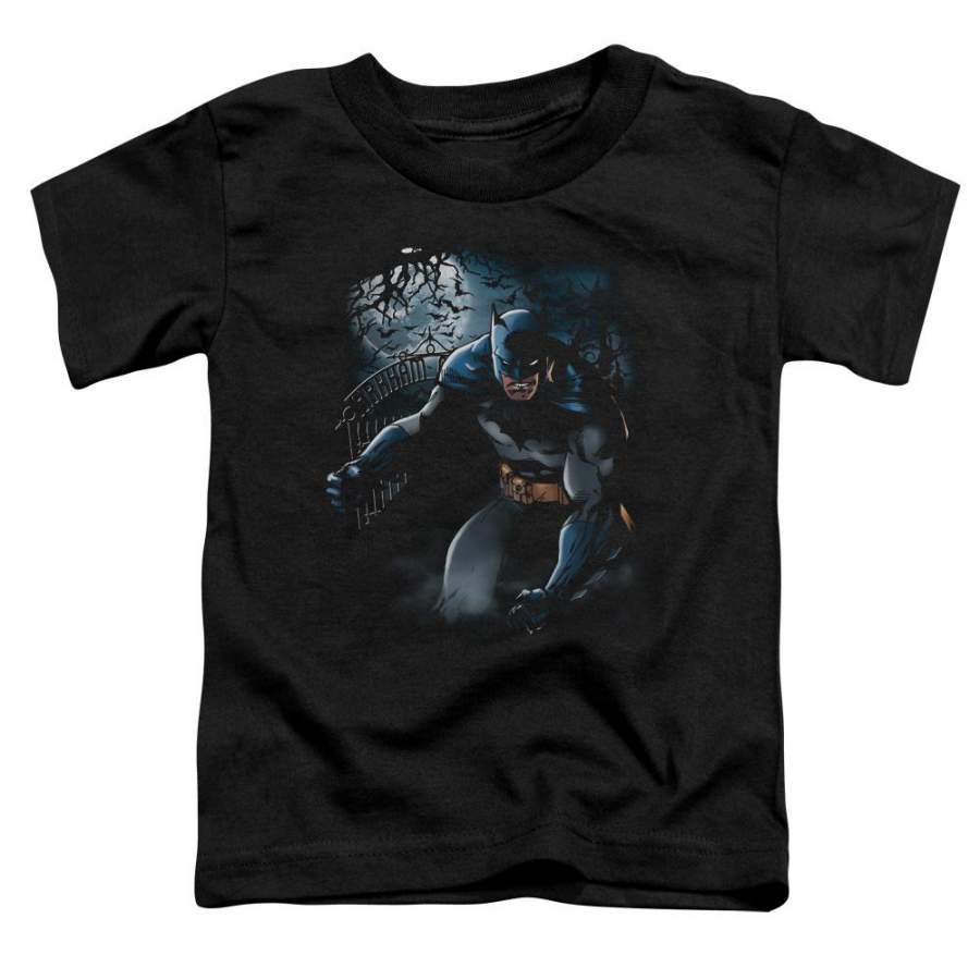 Batman – Light Of The Moon Short Sleeve Toddler Tee