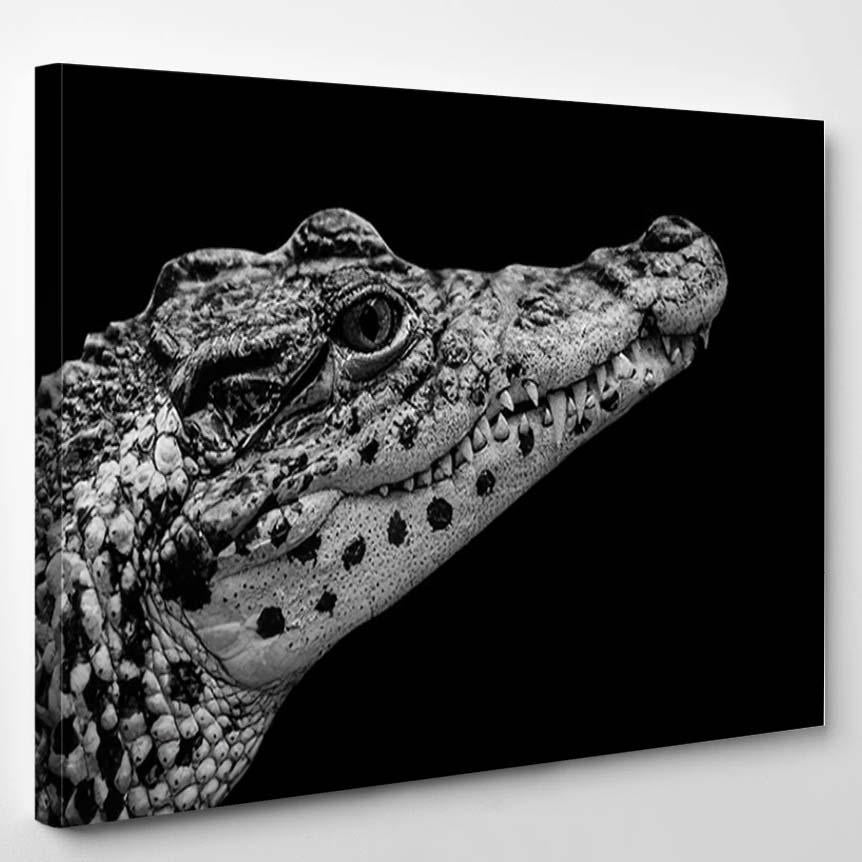 Portrait Black White Dangerous Crocodile Face – Dinosaur Animals Canvas Print