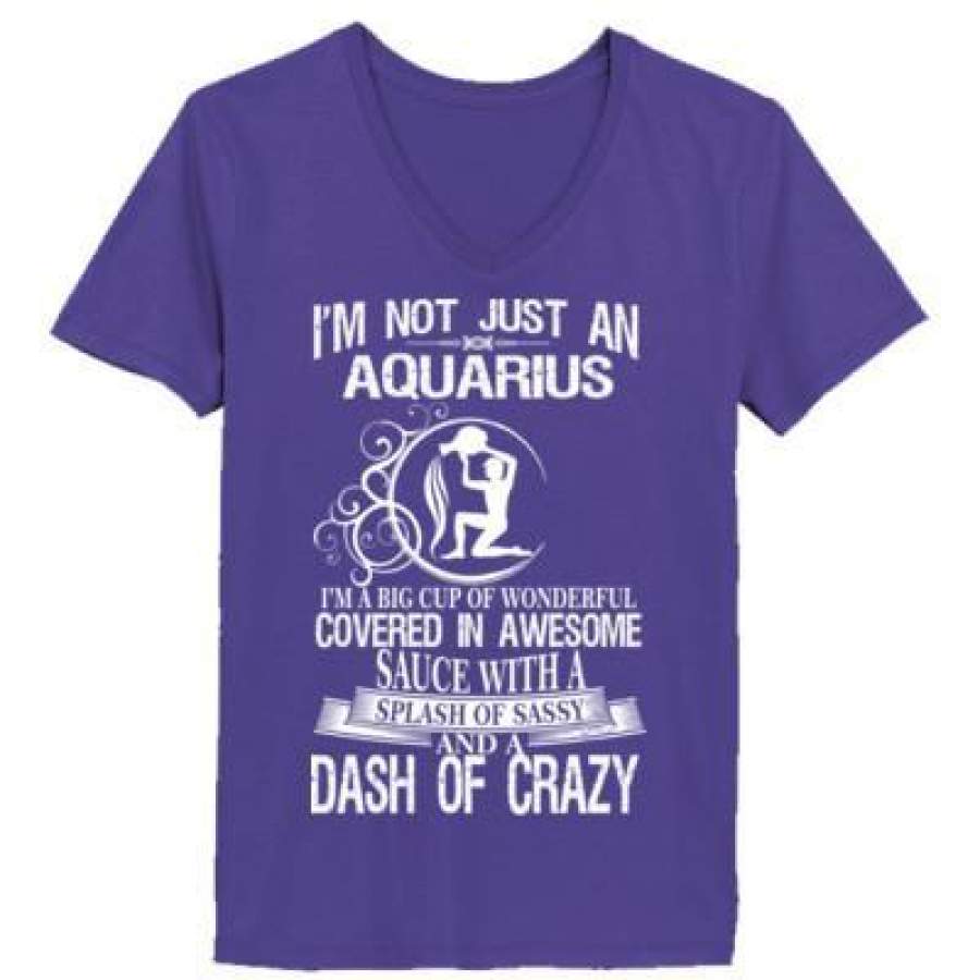 AGR Aquarius Im A Big Cup Of Wonderful Covered In Awesome Sauce With A Splash Of Sassy And A Dash Of Crazy – Ladies’ V-Neck T-Shirt