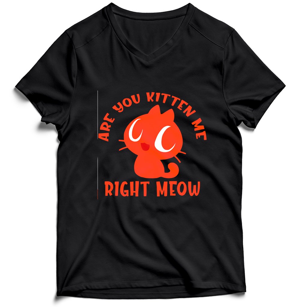 Are You Kitten Me Right Meow Are Men’s V-Neck Tee T-Shirt