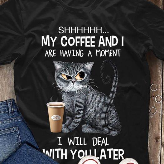 Funny Cat My Coffee And I Are Having A Moment I Will Deal With You Later Gift Standard/Premium T-Shirt