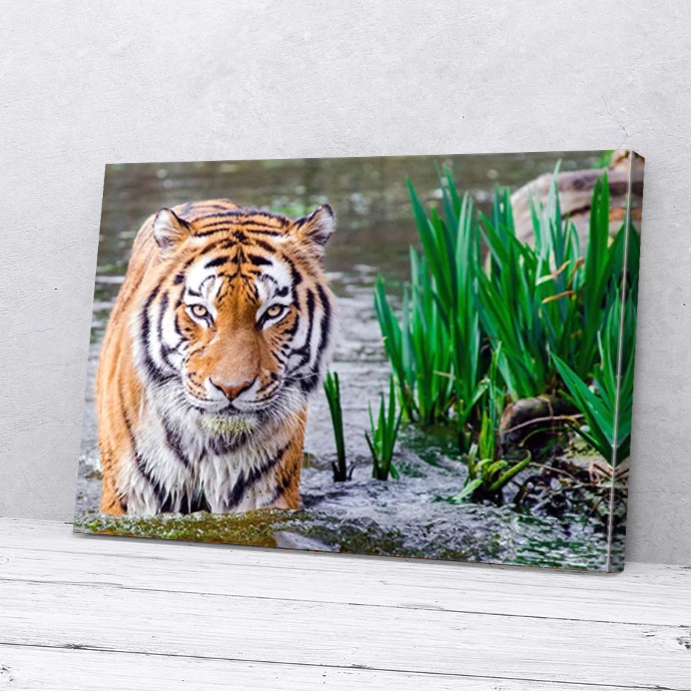 Bestieship Tiger On Water Canvas Prints