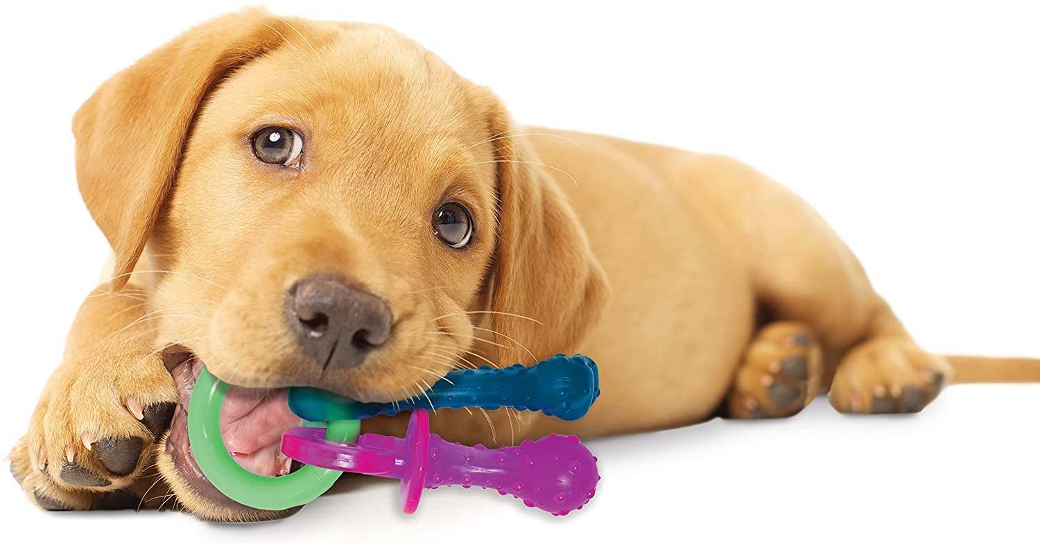 Puppy Chew Toys For Teething Puppies