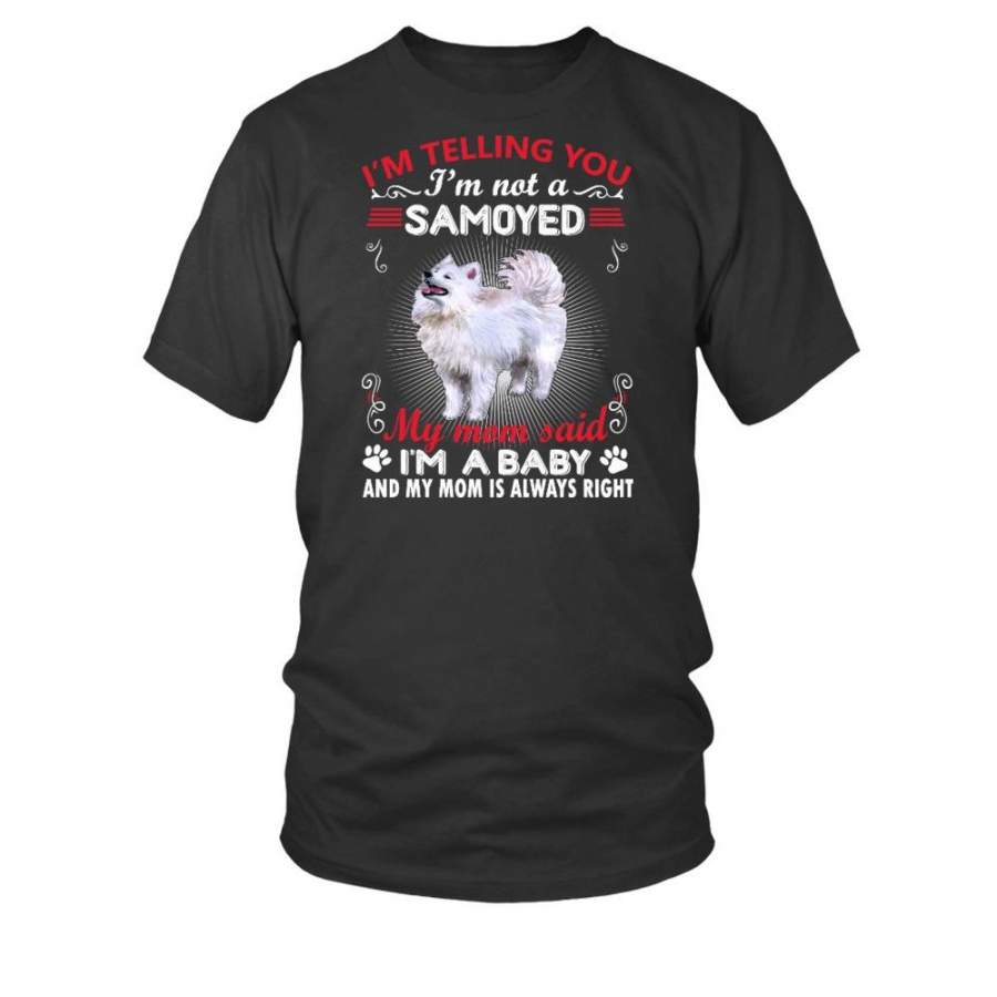Samoyed  Men’s T-Shirt