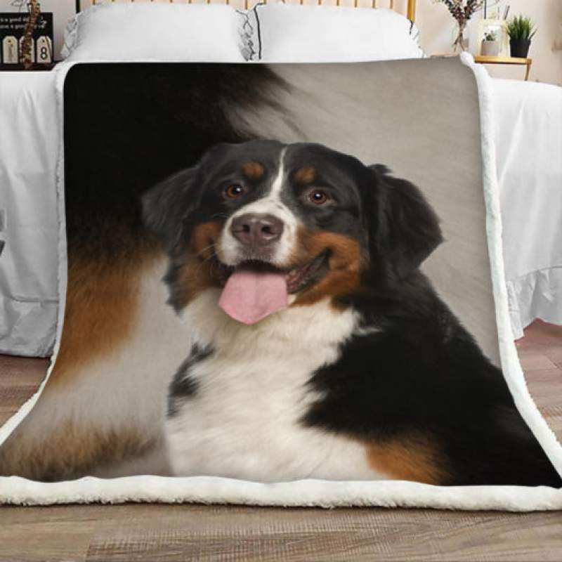 Bernese Mountain Dog Sherpa Blanket JR1403 67O39