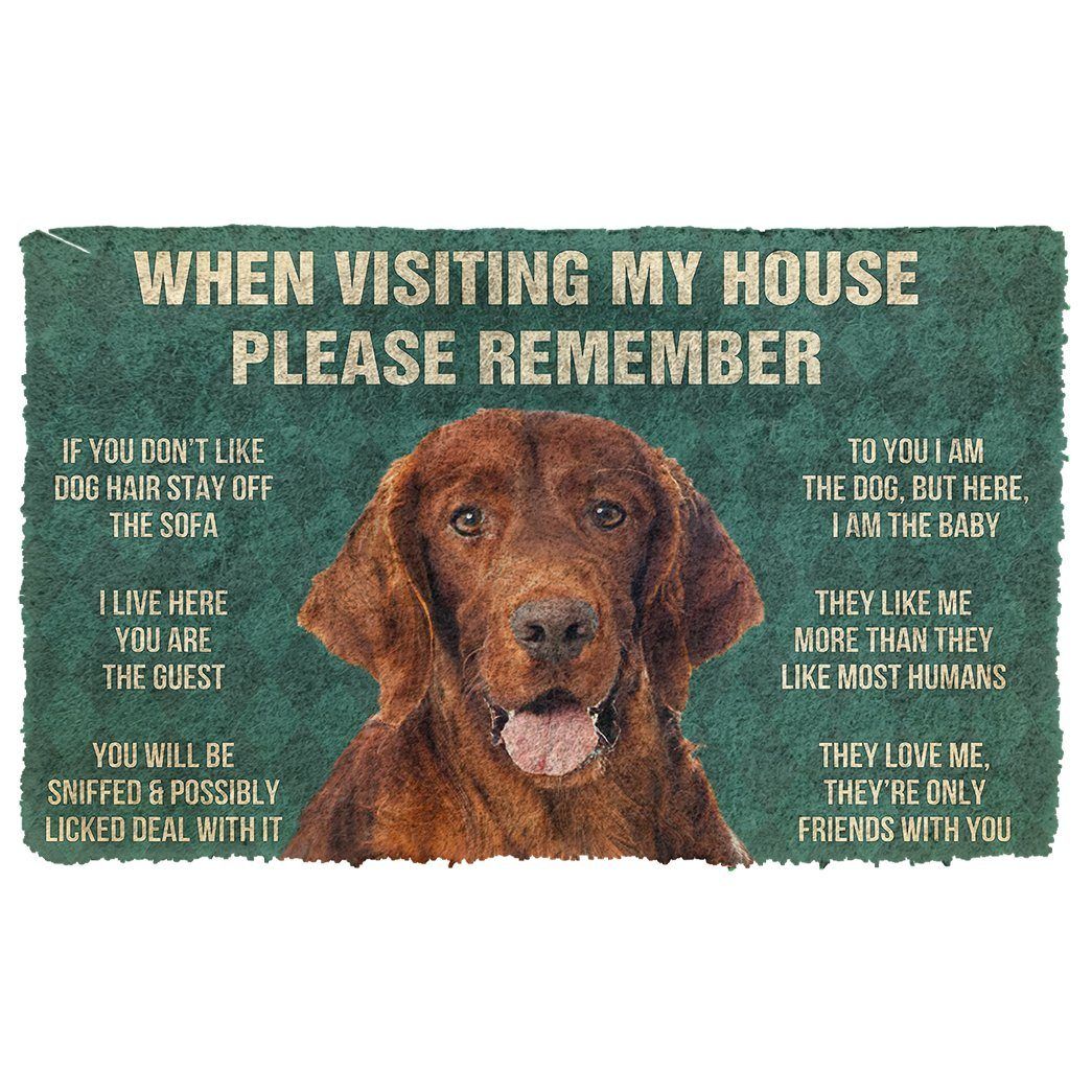 Gearhumans 3D Please Remember Irish Setter House Rules Custom Doormat