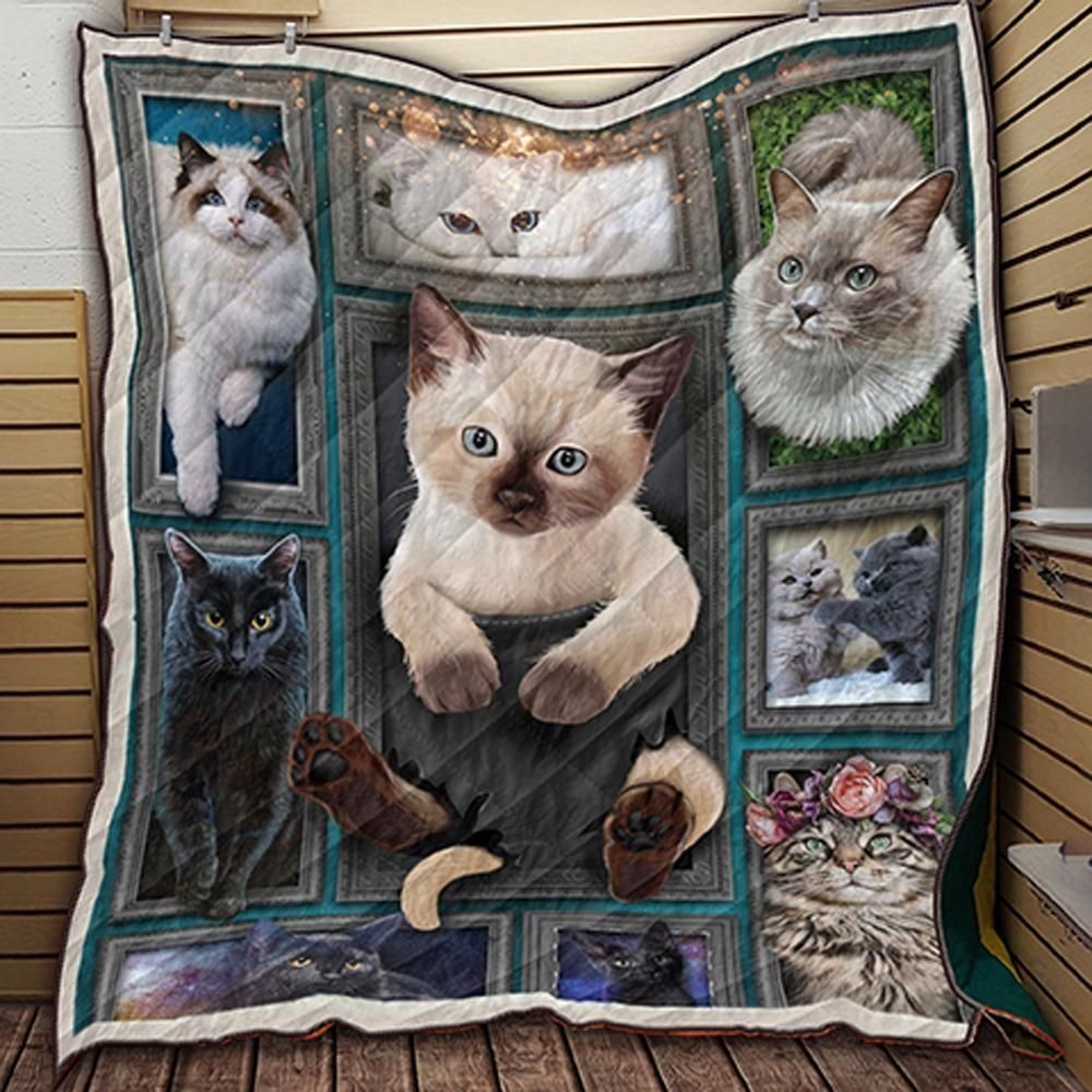 Cat Is Love Lovely kitten Quilt Blanket