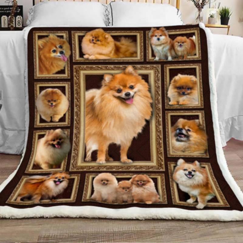 Pomeranian Dog Sherpa Blanket JR0201 90O41