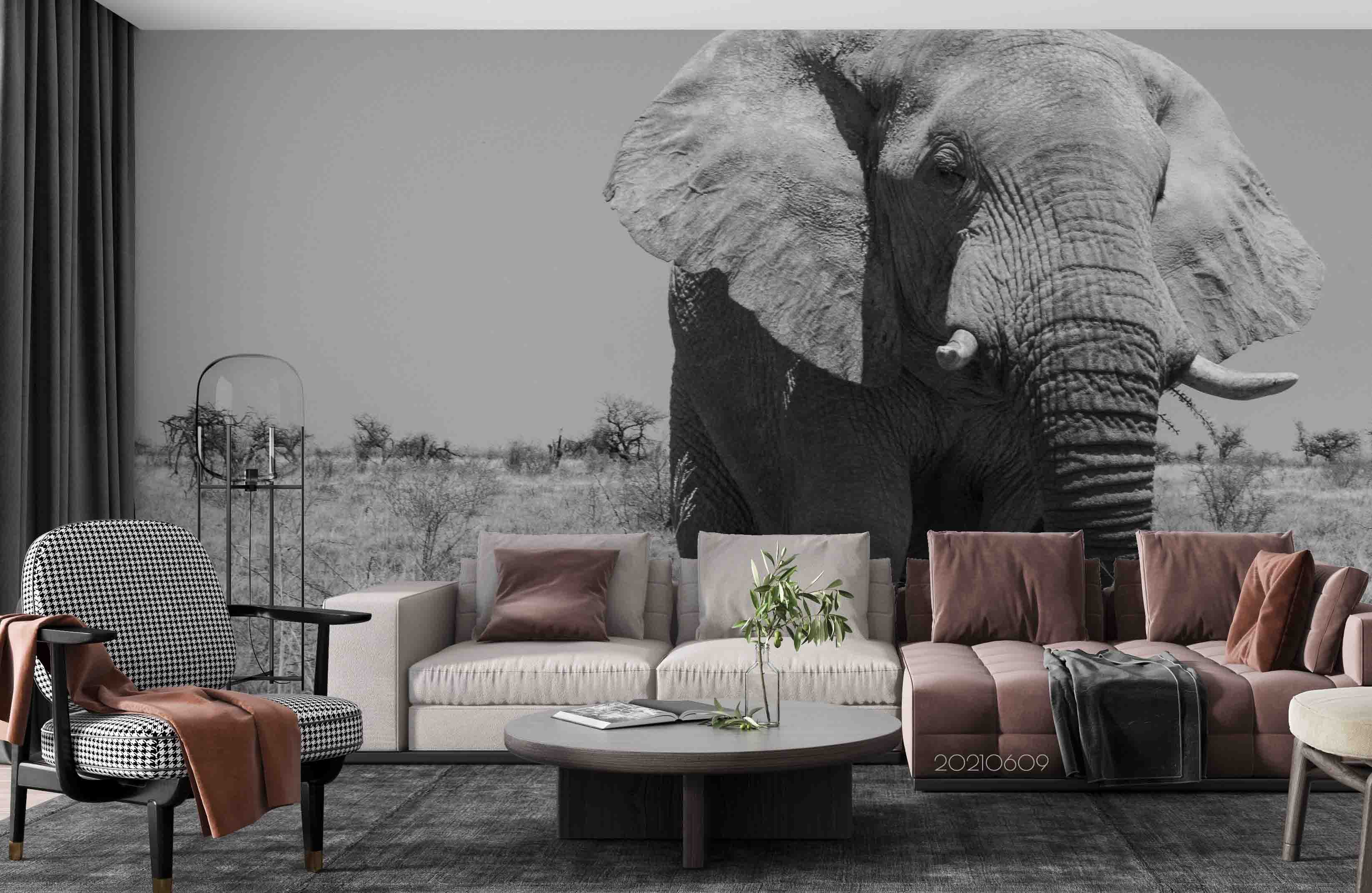 3D Africa Grassland Animal Elephant Grey Wall Mural Wallpaper Sww1666