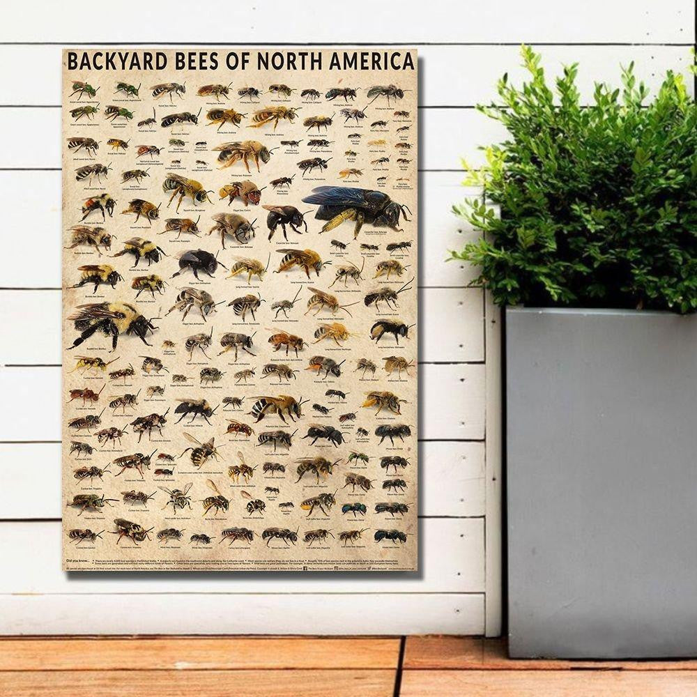 Backyard Bees Of North America Poster Canvas Home Décor Gifts For Men Women – Gigo Smart