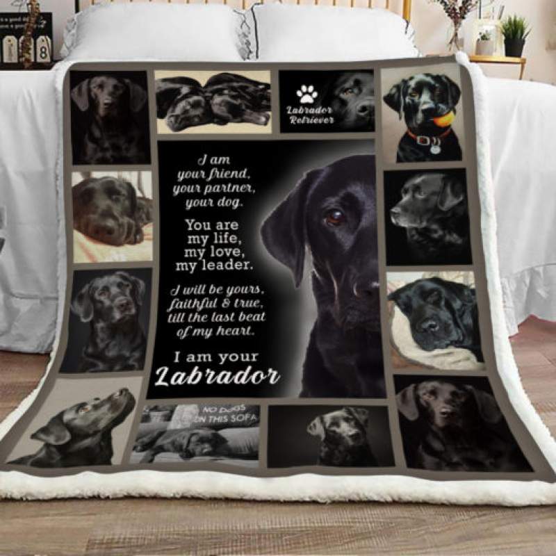 Labrador Retriever Dog Sherpa Blanket JR1401 90O41