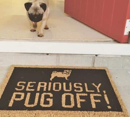 Pug Seriously Pug Off CLP0111123D Doormat