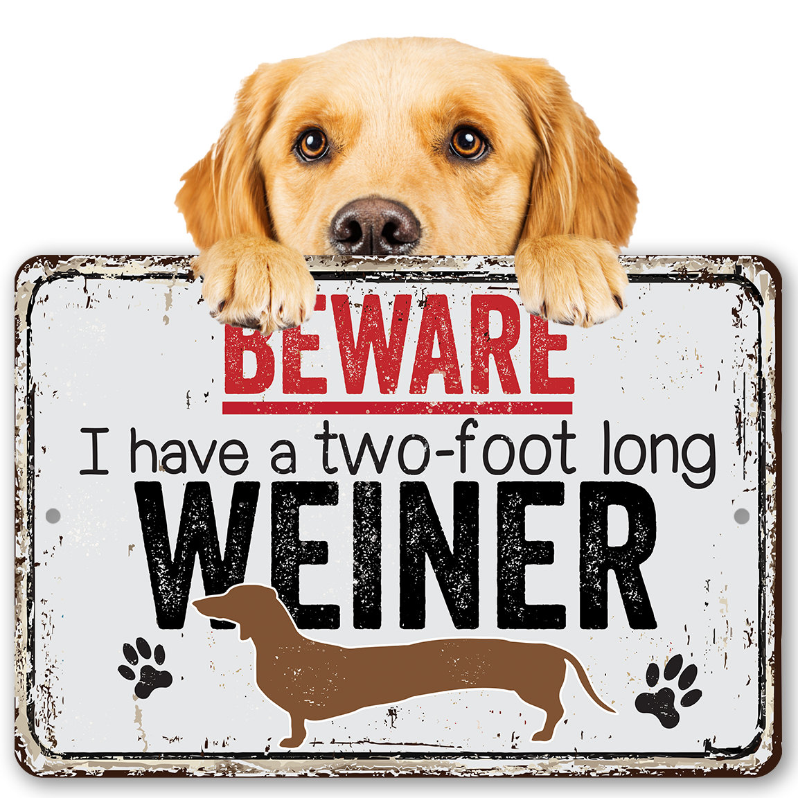 Beware I Have A Two Foot Long – 8″ x 12″ or 12″ x 18″ Aluminum Tin Awesome Metal Poster