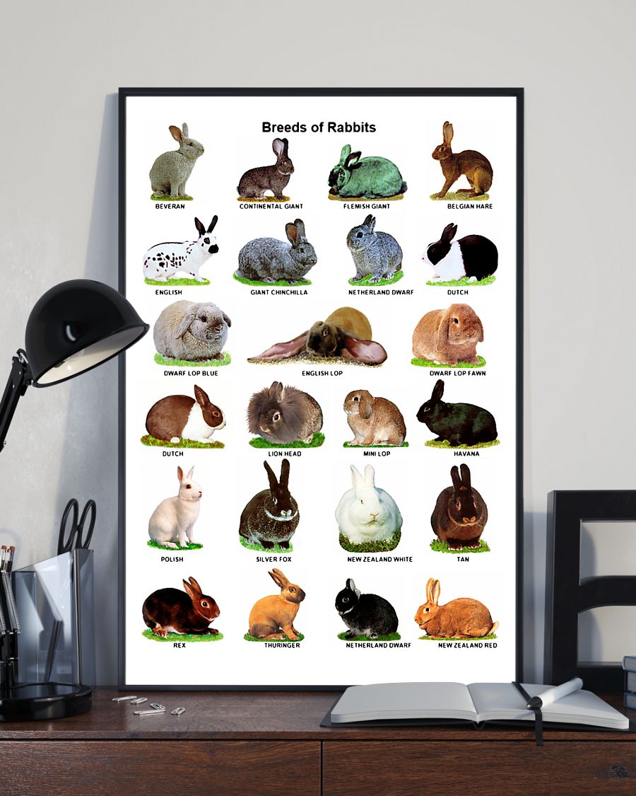 Breeds Of Rabbits Vertical Canvas And Poster | Wall Decor Visual Art