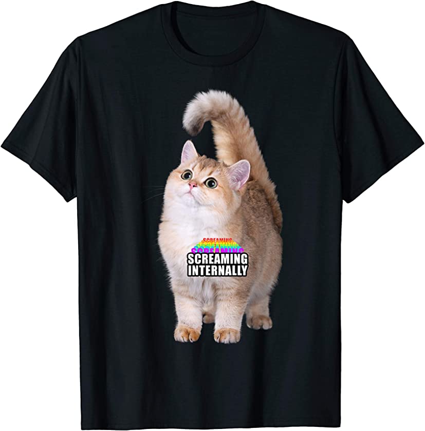 Screaming Internally Rainbow Kitten Funny Graphic T-Shirt