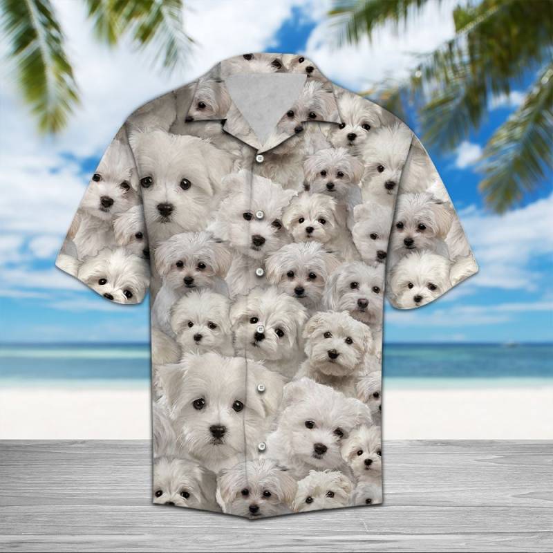 Maltese Awesome Hawaiian Shirt Ha80361