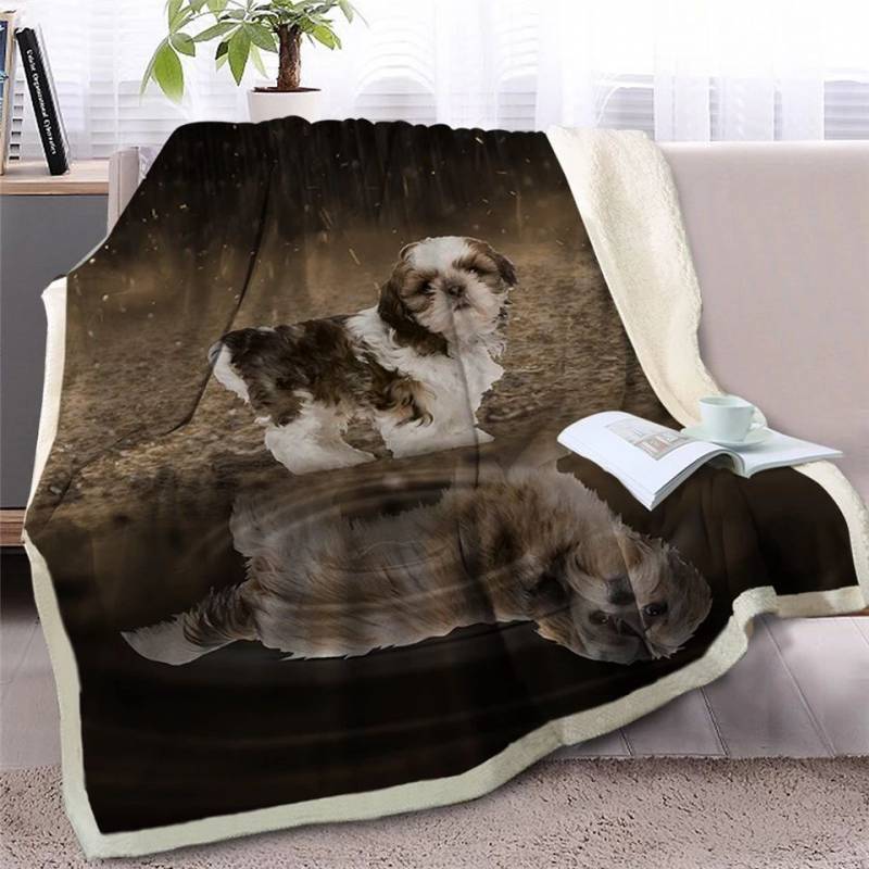 Puppy Shih Tzu Looking At Reflection CLH2511387F Sherpa Fleece Blanket