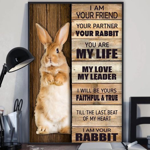 Rabbit I Am Your Friends Your Partner You Are My Life My  Love My Leader  Home Living Room Wall Decor Vertical Poster Canvas Y97