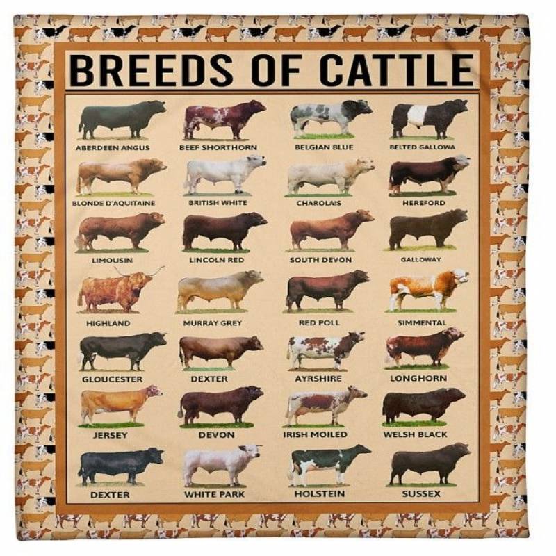 Breeds Of Cattle CLM2312122S Sherpa Fleece Blanket - SewingCode