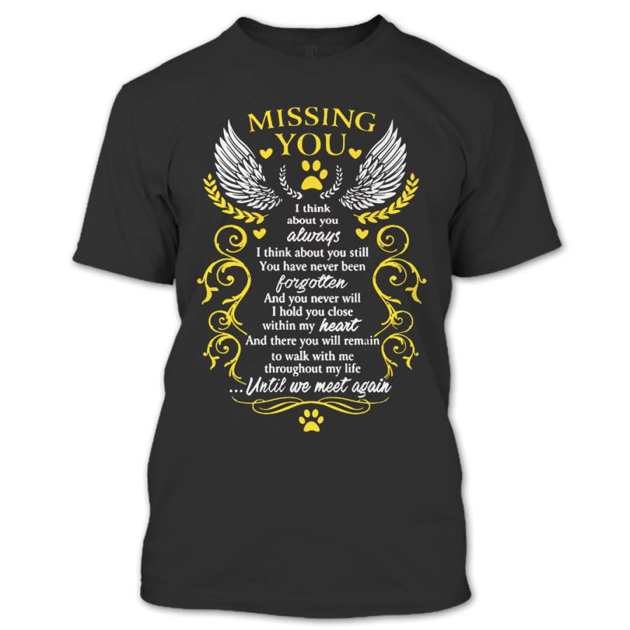 Missing You I Think About You Always Until We Meet Again T Shirt, Nice Love Shirt, Couples Shirts