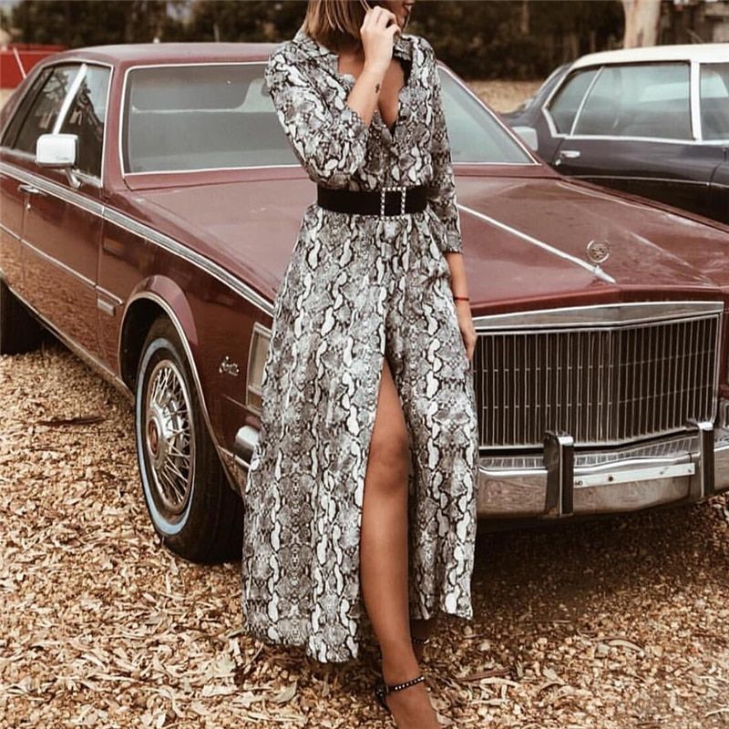 Deep V-Neck Long Sleeve Leopard Print Vintage dresses