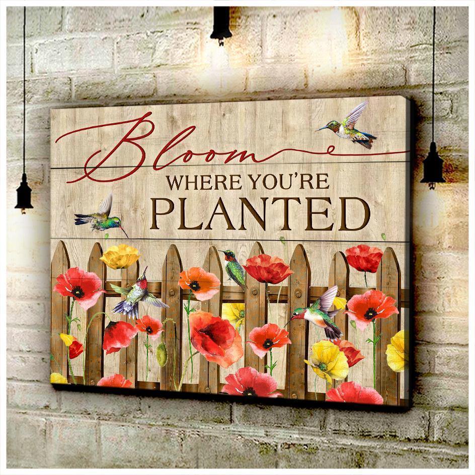 Bloom Where You Are Planted – Gift For Home Decor, Best Gift Idea, Gift For Family – Canvas Prints, Matte Canvas