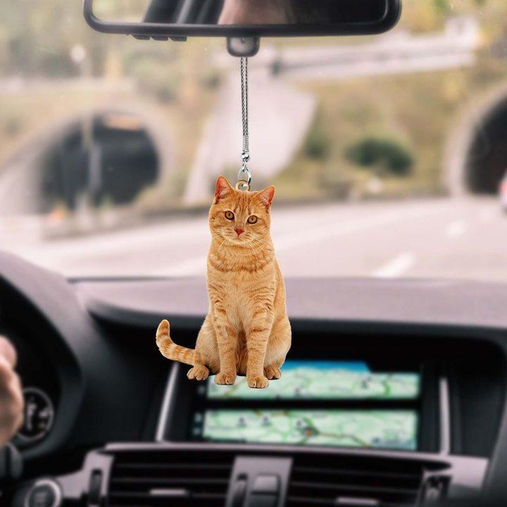 14 Cat Kitty Car Hanging Ornament