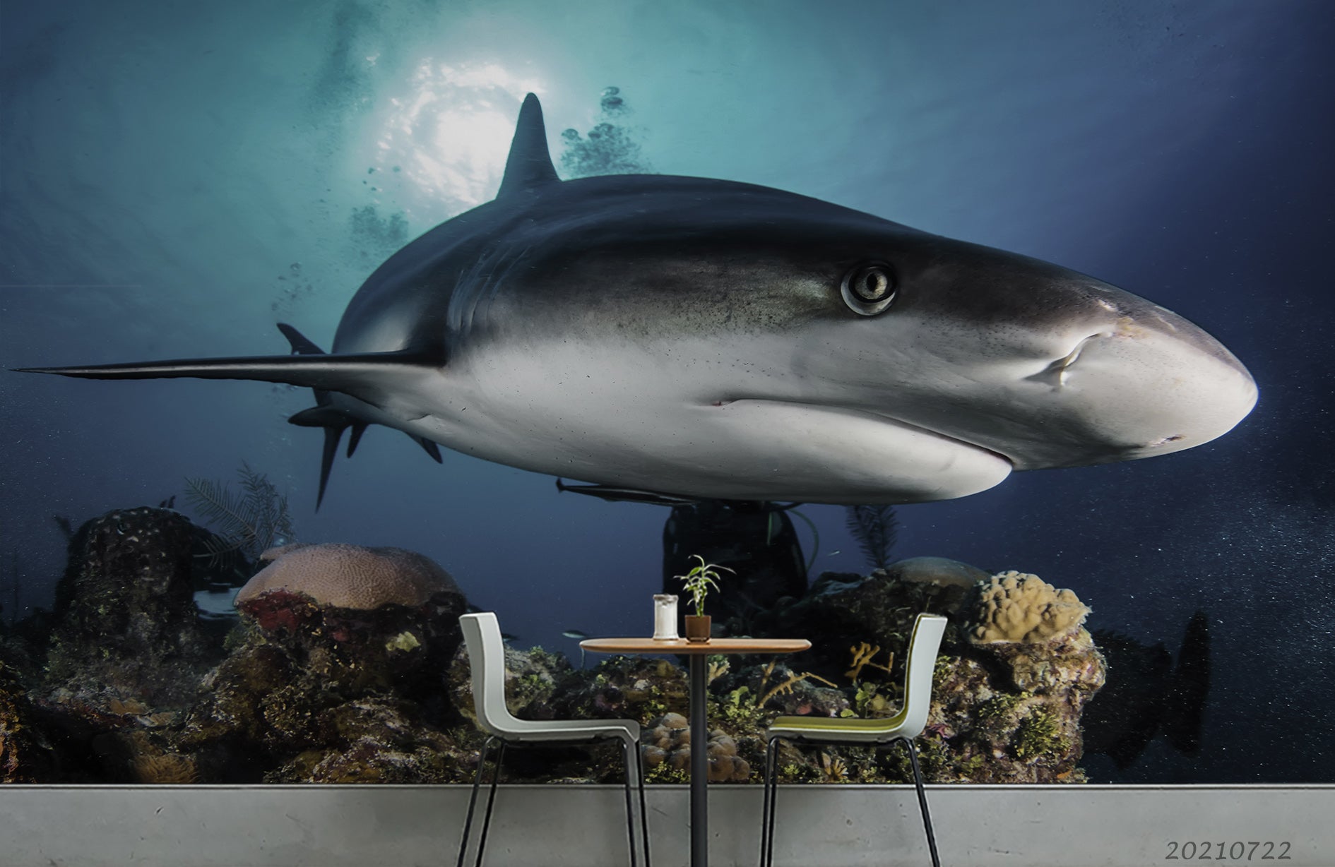 3D Sea Shark Animal Wall Mural Wallpaper Lqh 192