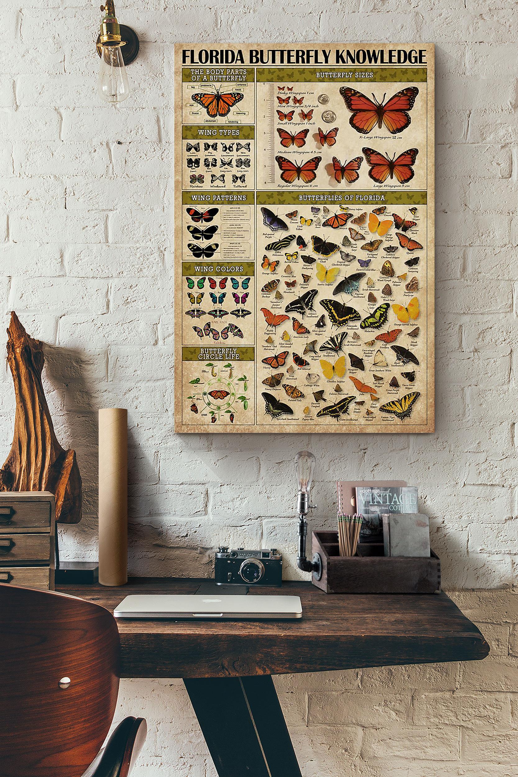 Butterfly Florida Butterfly Knowledge Poster