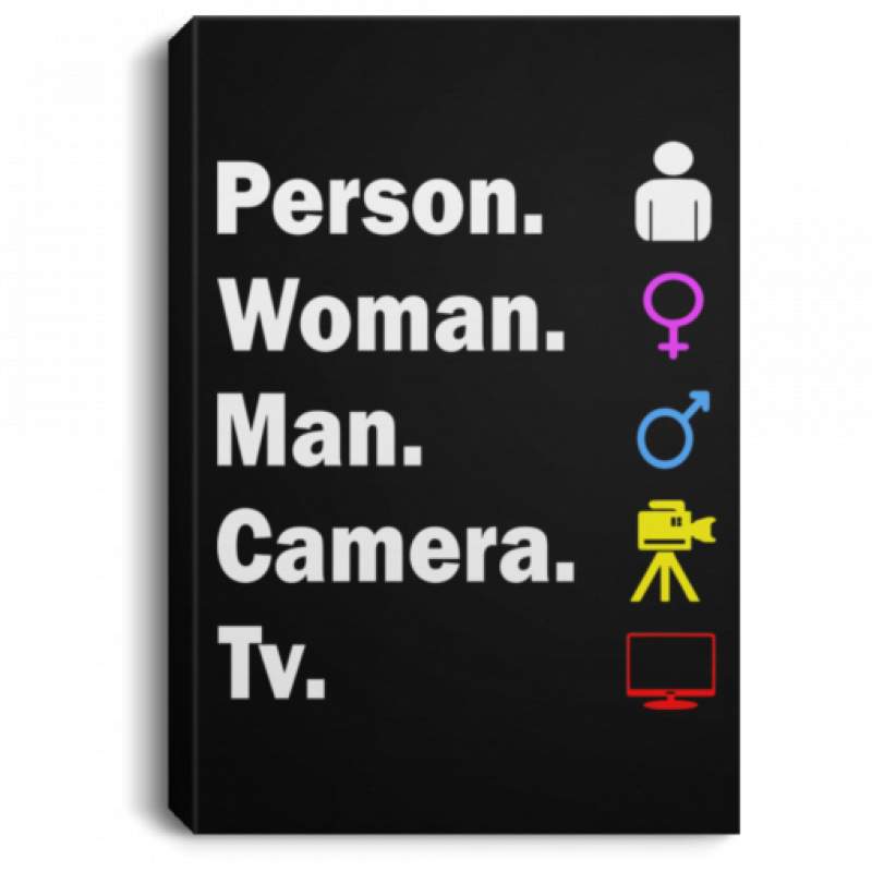 Person Woman Man Camera Tv poster, canvas