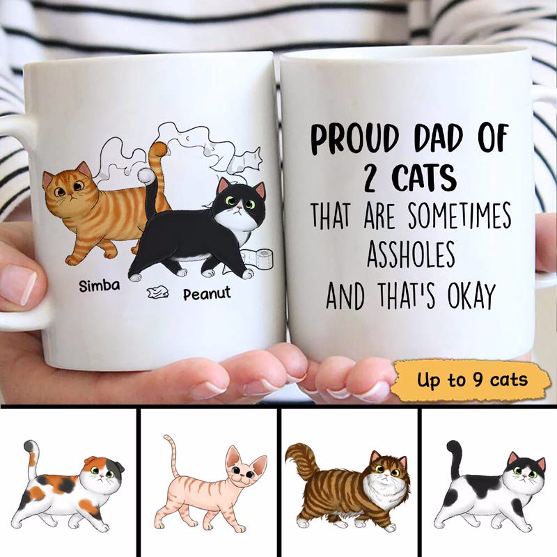 Proud Dad Of Naughty Fluffy Cats Personalized Mug