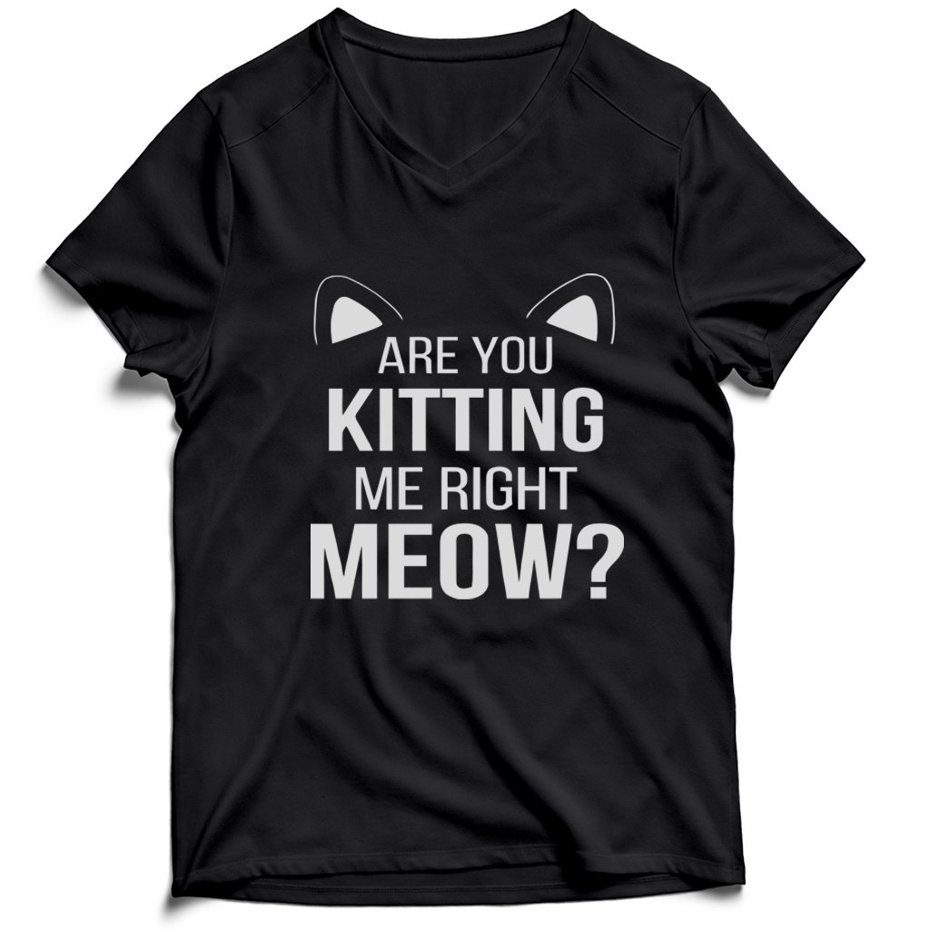 Are You Kitten Me Right Meow Duck Men’s V-Neck Tee T-Shirt