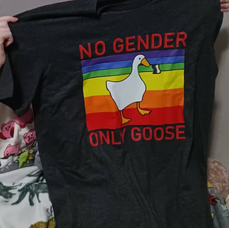 No Gender Only Goose Funny LGBTQ Shirt Outfit