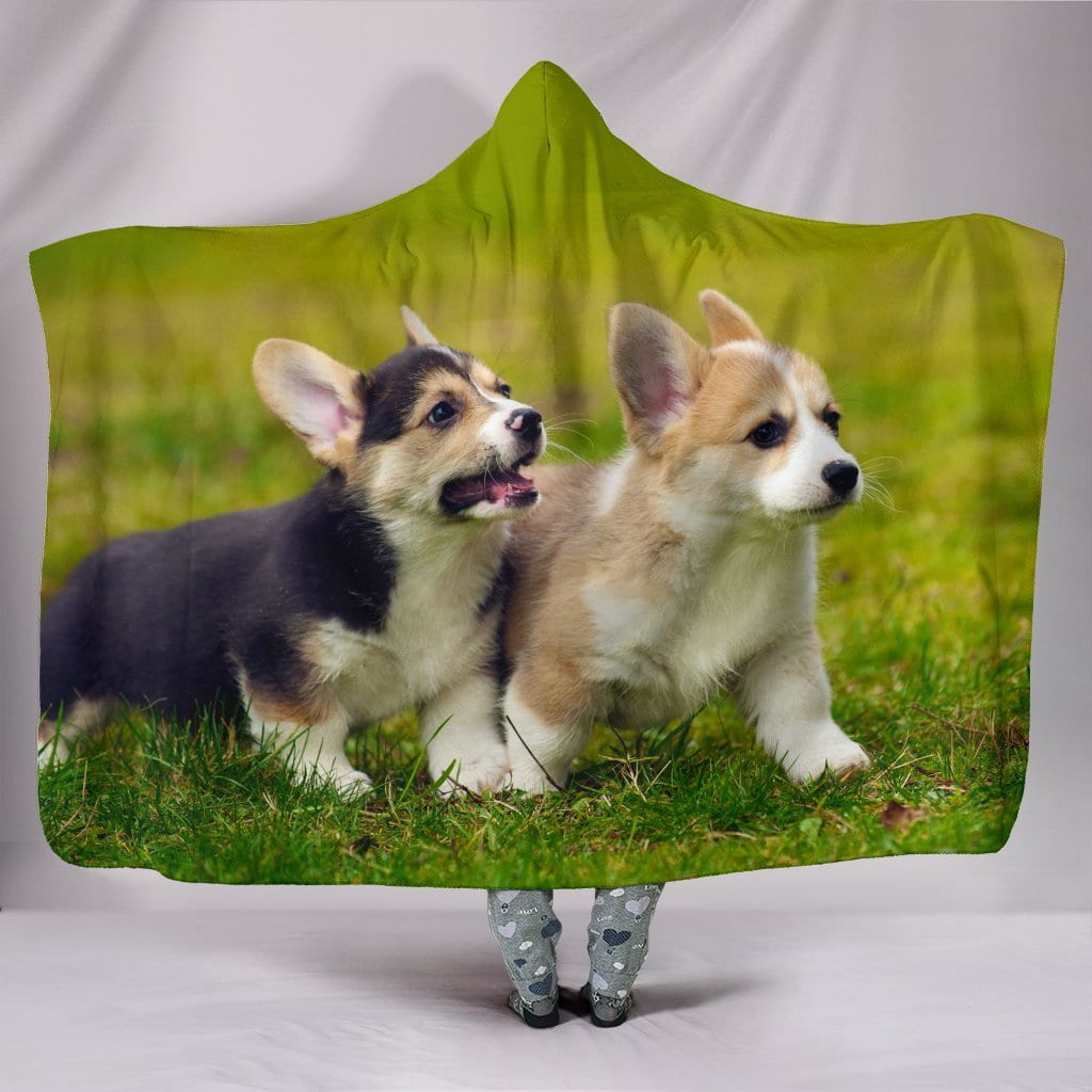 Corgi Puppy Plush Lined Hooded Blanket