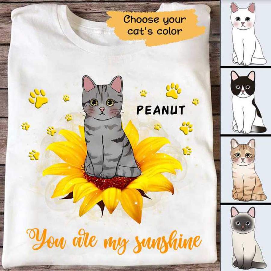 You Are My Sunshine Sitting Cat Personalized Shirt